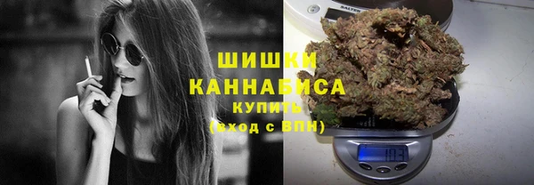 PSILOCYBIN Беломорск
