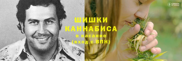 ешки Белокуриха