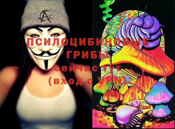 PSILOCYBIN Беломорск