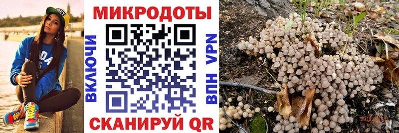 Псилоцибиновые грибы мухоморы  как найти   Белгород 
